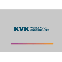 Ik heb een website nodig voor mijn geregistreerde bedrijf.